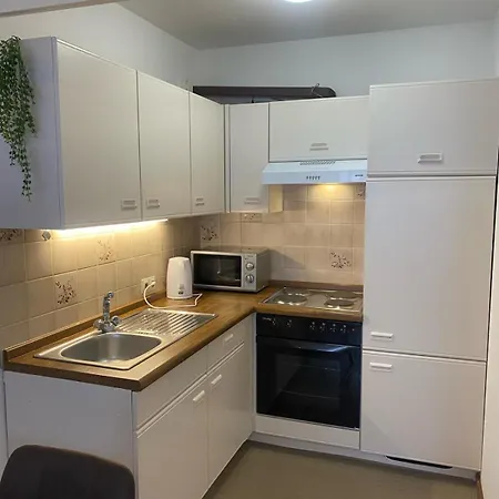 Appartement Au Rhin Mit Balkon In Bad Bellingen Exterior foto