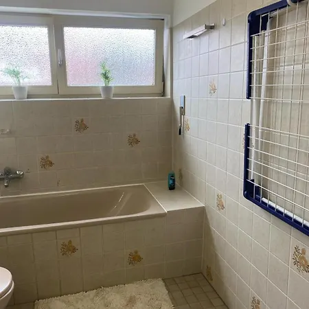 Appartement Au Rhin Mit Balkon In Bad Bellingen Exterior foto
