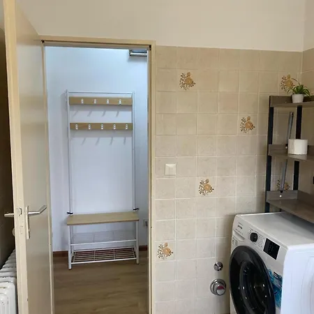 Appartement Au Rhin Mit Balkon In Bad Bellingen Exterior foto