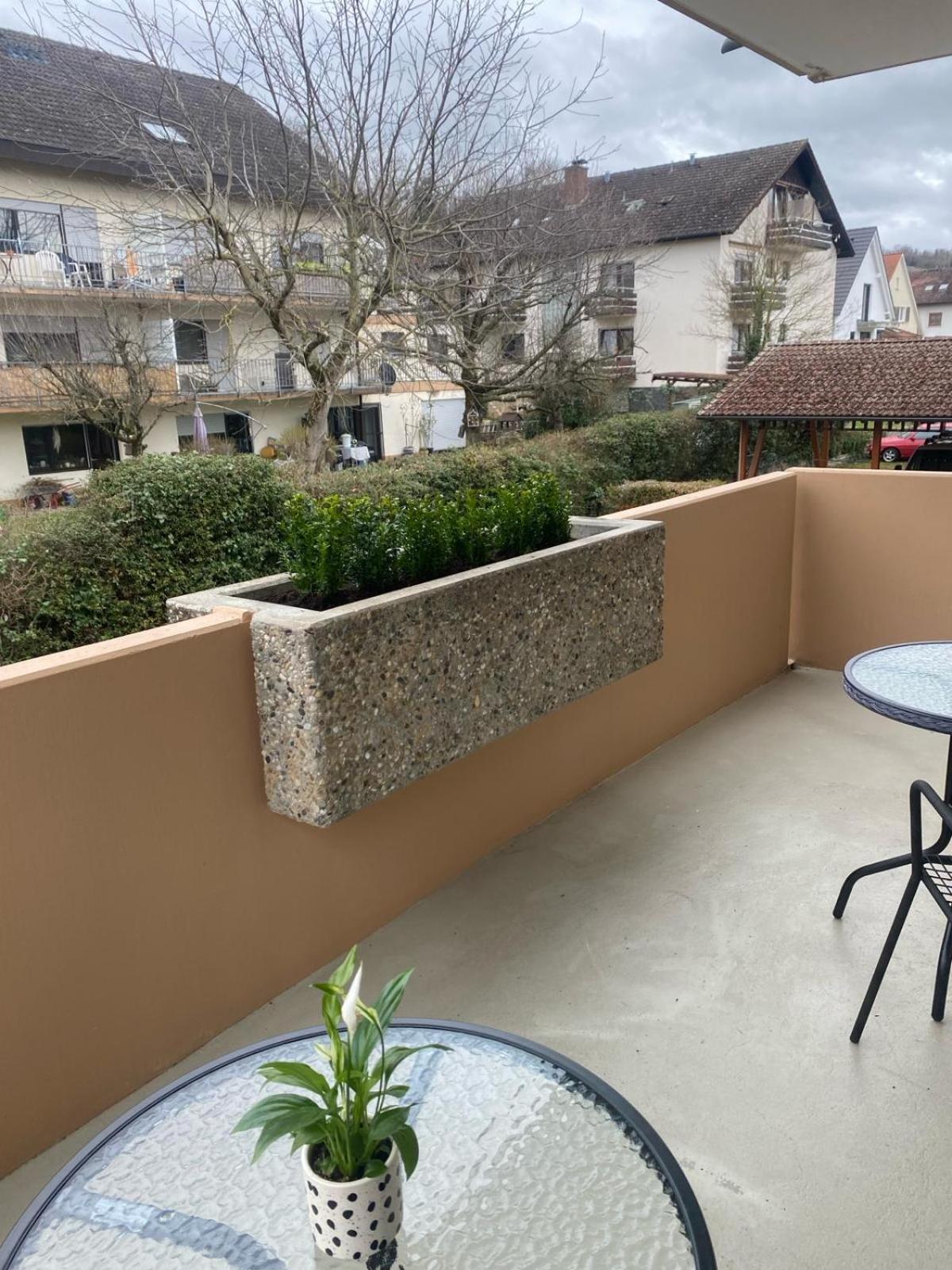 Au Rhin Mit Balkon In Apartment *